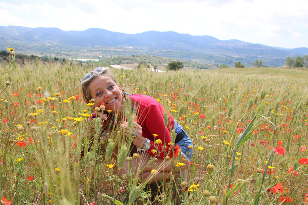 coquelicots coquelicots